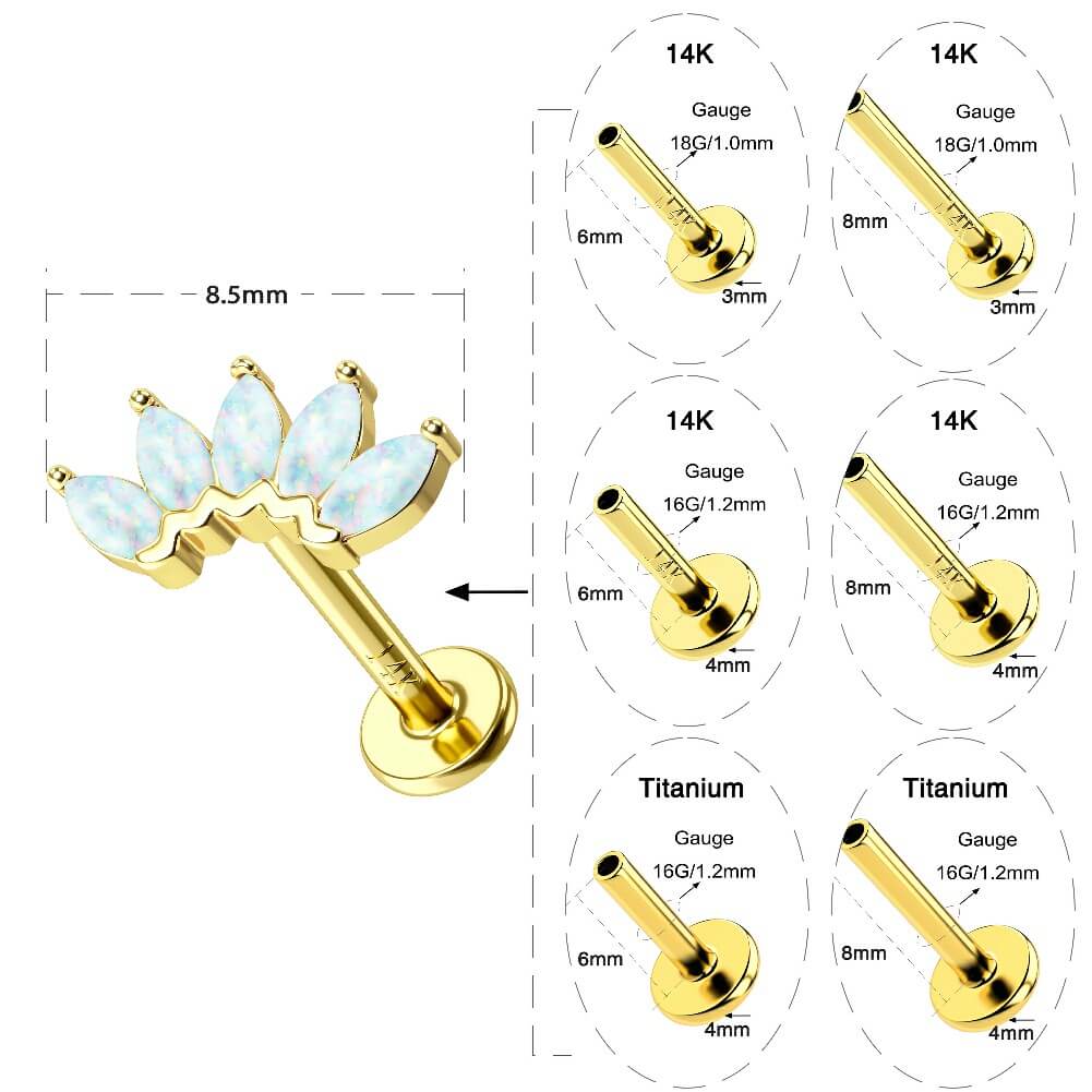 threadless crown helix earring