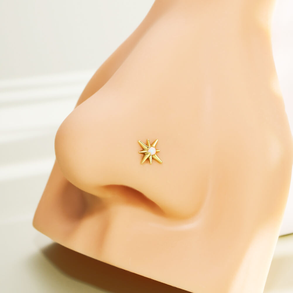 nose stud earrings