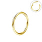 gold cartilage piercing hoops