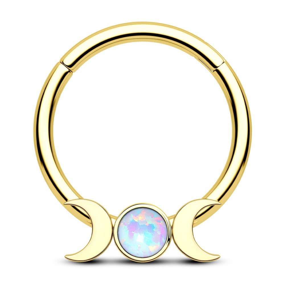 16G/14G Moon Phase Hinged Segment Septum Ring