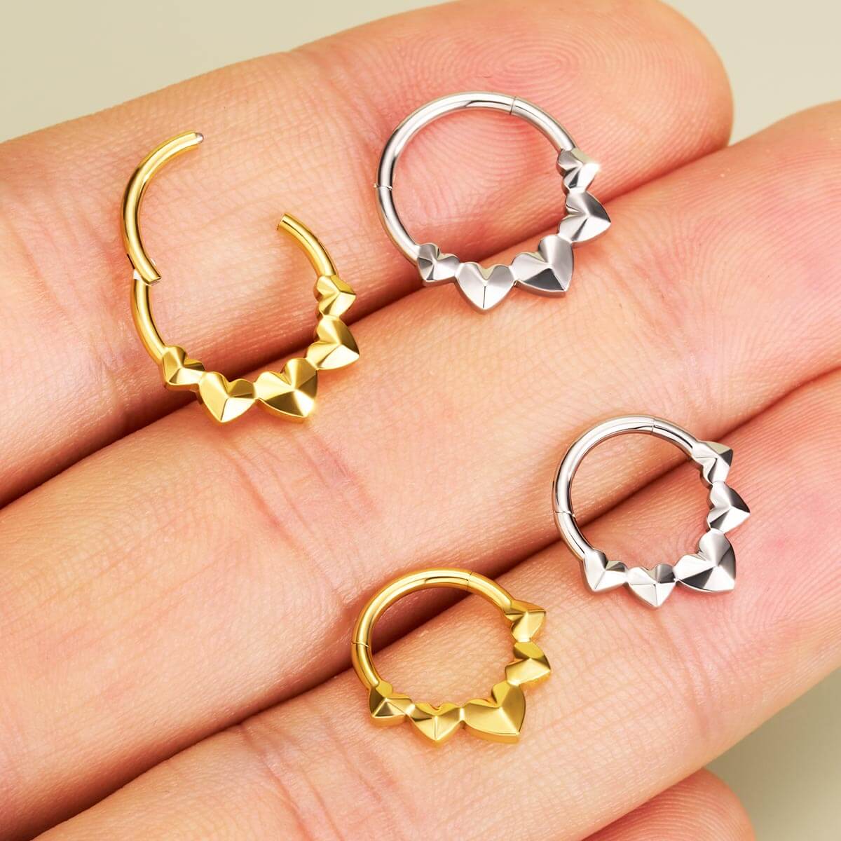 segment heart septum ring