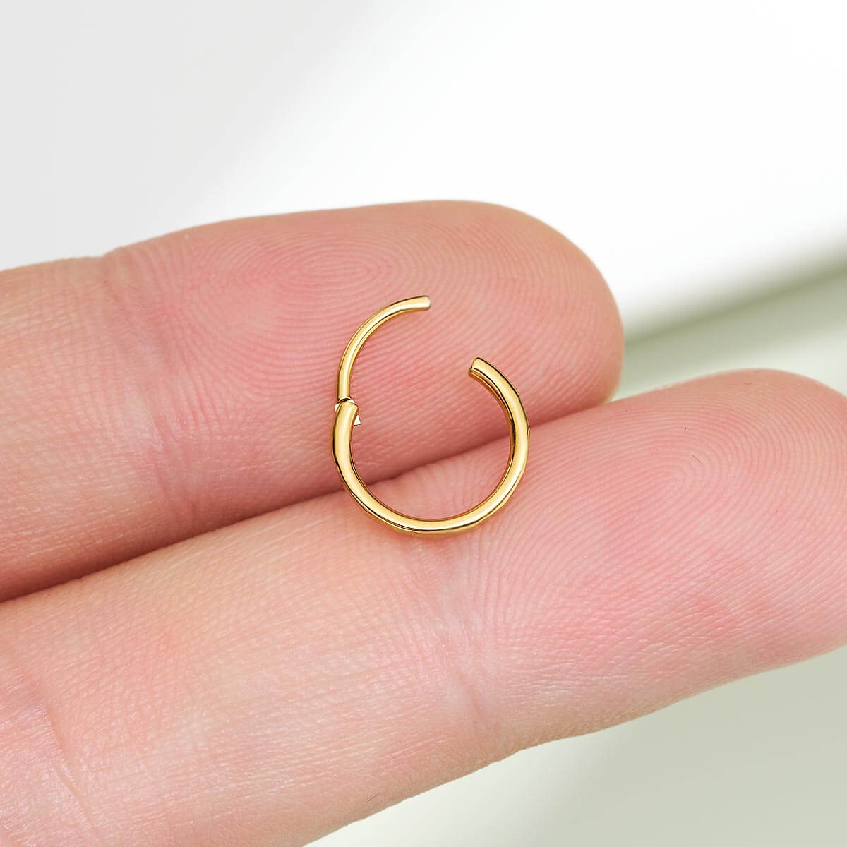 hinged segment nose ring 