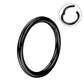 20G Titanium Hinged Segment Nose Hoop Ring Helix Earrings